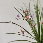 Artificial Dendrobium Orchid