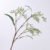 White Green