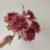 Rose Red