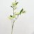 White Green